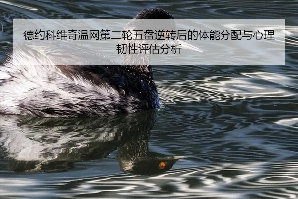de-yue-ke-wei-qi-wen-wang-di-er-lun-wu-pan-ni-zhuan-hou-de-ti-neng-fen-pei-yu-xin-li-ren-xing-ping-gu-fen-xi-3-216.jpg